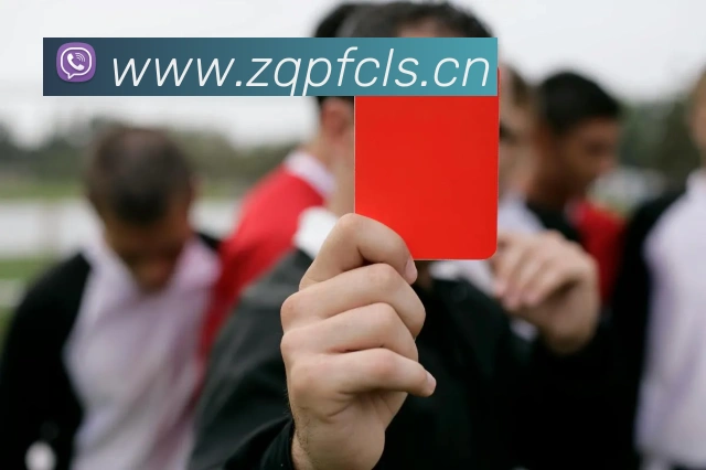 华体育会登录网官网APP 封面图